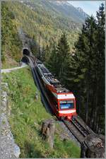 TMR (M-C) BDeh 4/8 21 (SNCF Z800 UIC N° 90 85 838 0821-1 CH-TMRSA) fährt im Gegenlicht auf dem Stromschienenabschnitt zwischen Finhaut und Le Trétien talwärts.