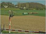 Unser Zug (und mein Fotostandpunkt) warten in Yens auf einen Gegenzug, welcher p�nktlich unterwegs unsere Weiterfahrt nicht verz�gert: Ein BAM Be 4/4 mit einem beladen Holzwagen auf den Weg nach