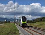 Der neue sechsteilige Mutz der BLS RABe 515 038 auf dem Weg Richtung Olten.
