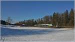 Ein BLS NINA RABe 525 in der verschneiten Emmentaler Landschaft bei Lützelflüh-Goldbach.