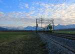 Zugsvielfalt bei Sonnenuntergang an der Bahnstrecke Bern-Thun: 3 Lötschberger Züge der BLS; zwei kommen von Zweisimmen, der dritte von Brig via Kandersteg.